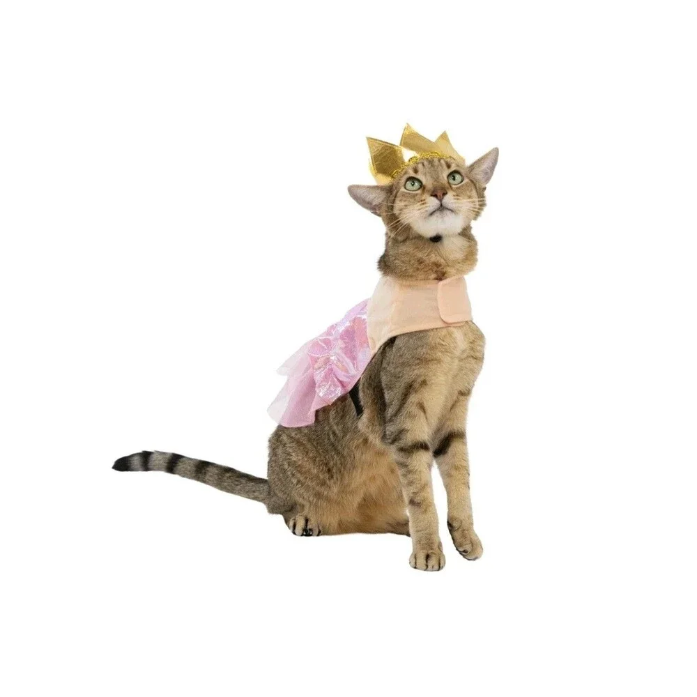 Vibrant Life Good Witch Dog/Pet Halloween Costume Hat & Outfit Size XS (5-10Lbs)
